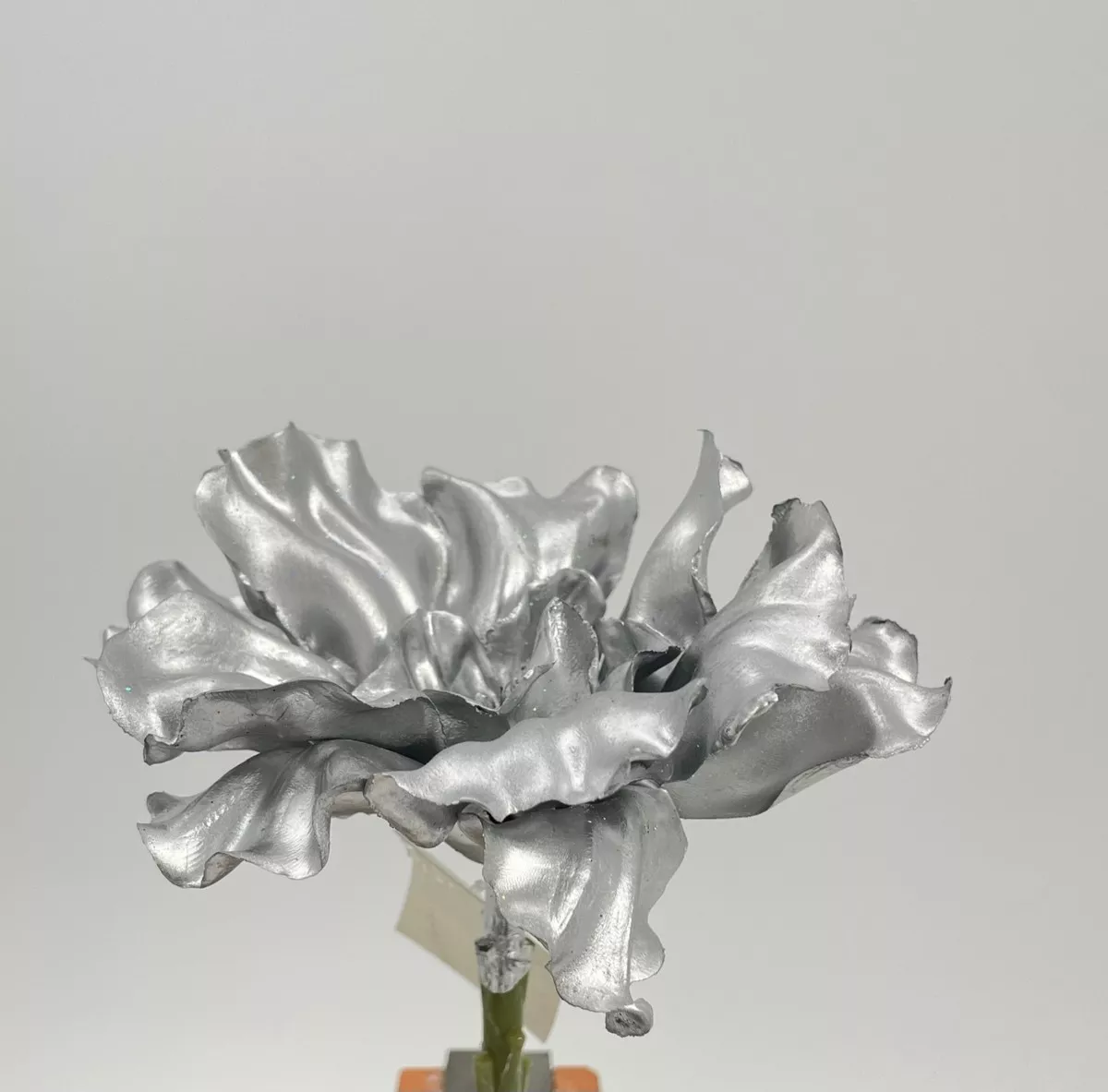 Суккулент ART18604  Интернет-магазин Feron Flower 
