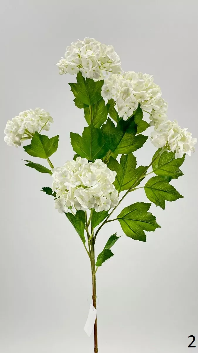 Вибурнум FL-QH001   Интернет-магазин Feron Flower 