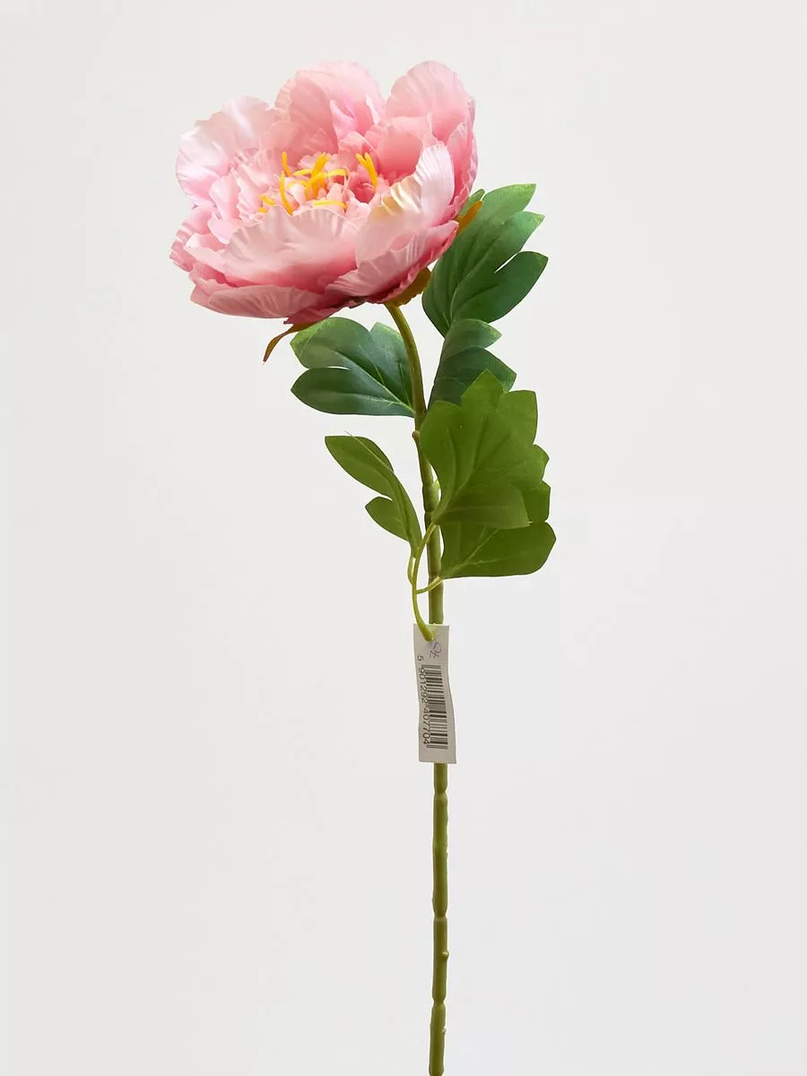 Пион 780088  Интернет-магазин Feron Flower 
