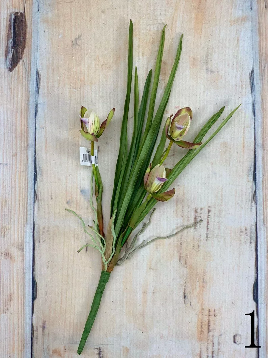 Орхидея 6186  Интернет-магазин Feron Flower 