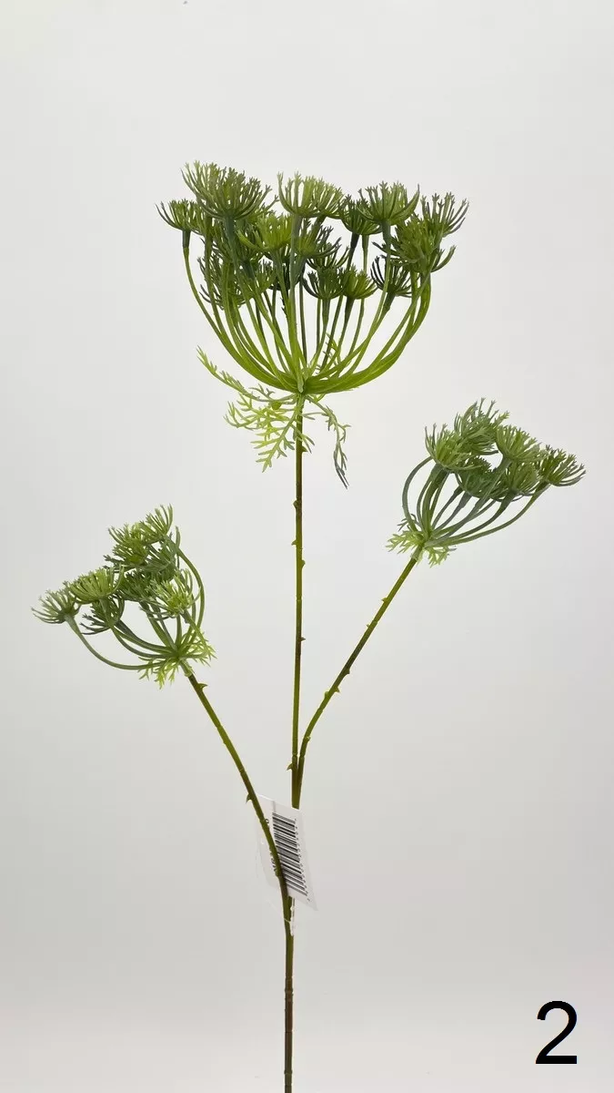 Укроп MR33-FY20  Интернет-магазин Feron Flower 