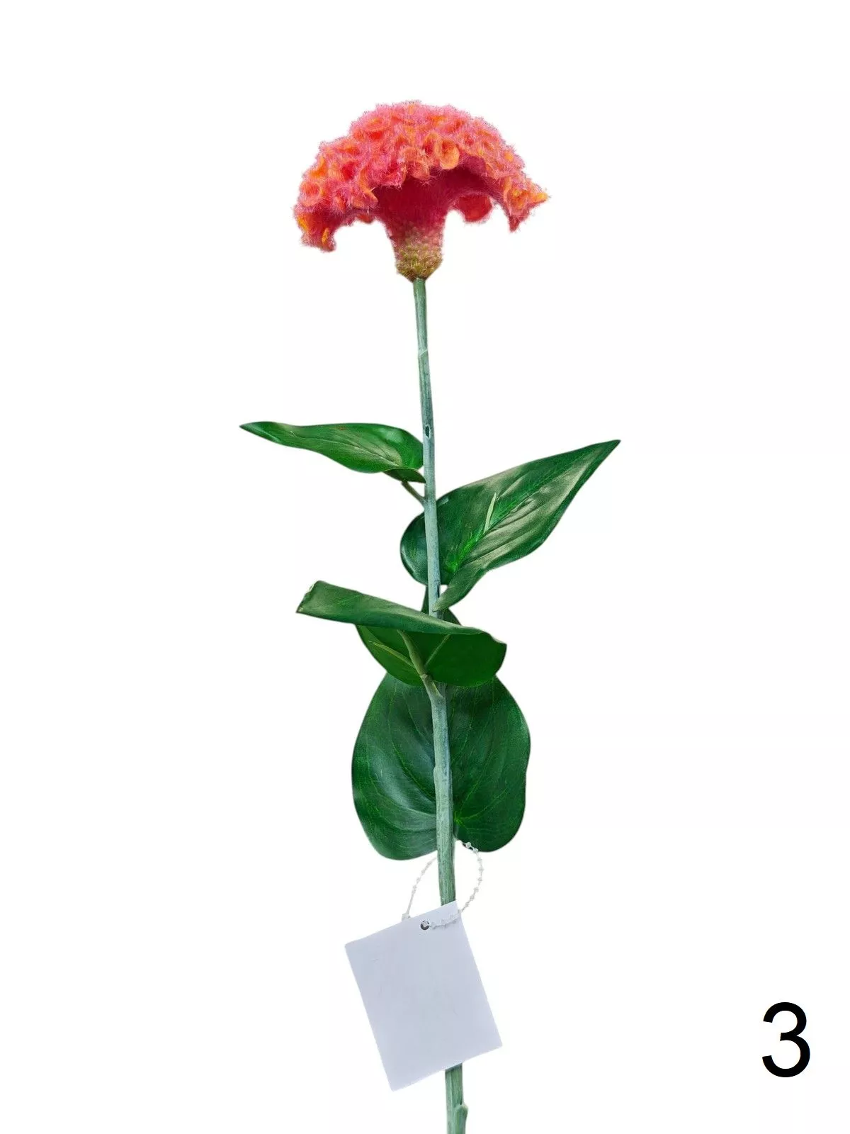 Целозия K03956  Интернет-магазин Feron Flower 