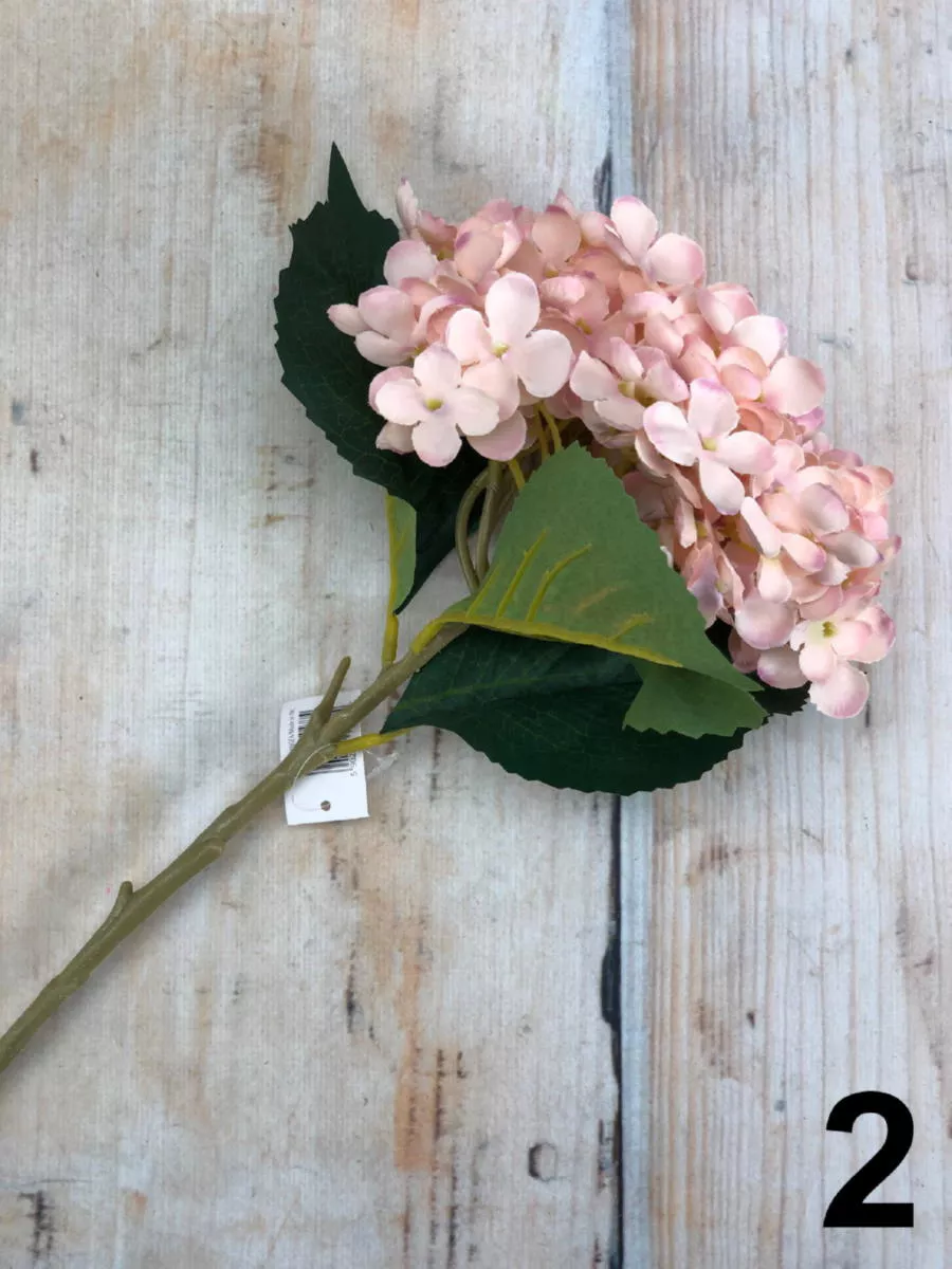 Гортензия CZ031  Интернет-магазин Feron Flower 