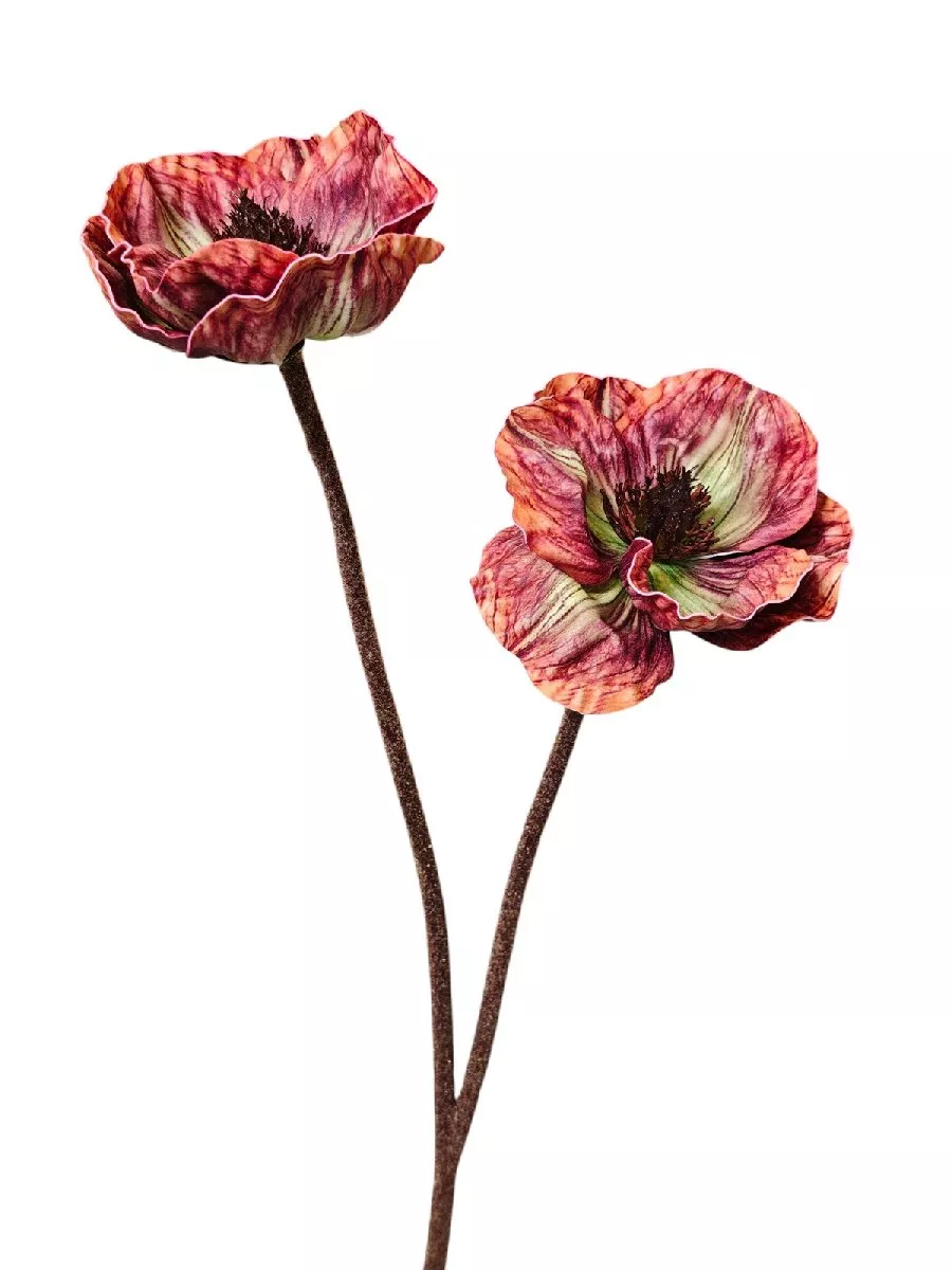 Анемон 9144-1397  Интернет-магазин Feron Flower 