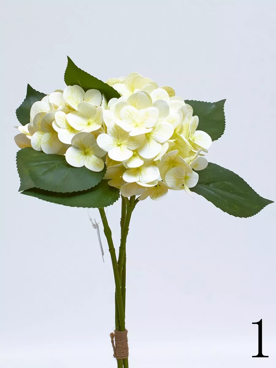 Гортензия K03980  Интернет-магазин Feron Flower 
