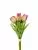 Искусственные Тюльпан 81CAN056 Интернет-магазин Feron Flower Тюльпан 81CAN056 Интернет-магазин Feron Flower