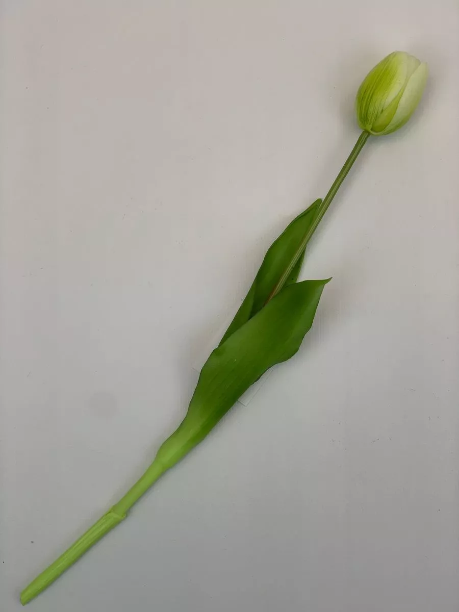 Тюльпан K04029  Интернет-магазин Feron Flower 