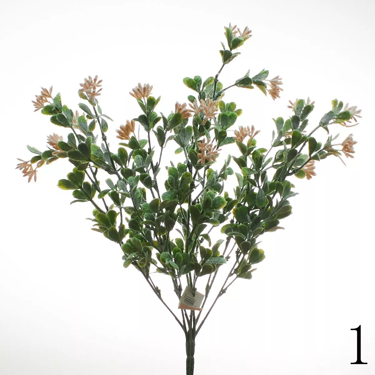 Букет зелени C-4563M  Интернет-магазин Feron Flower 