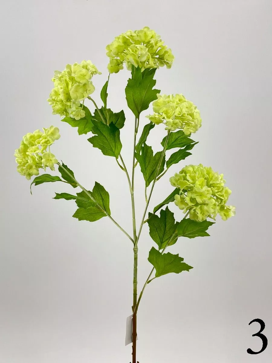 Вибурнум FL-QH001   Интернет-магазин Feron Flower 