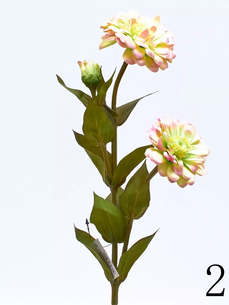 Циния SUN127  Интернет-магазин Feron Flower 