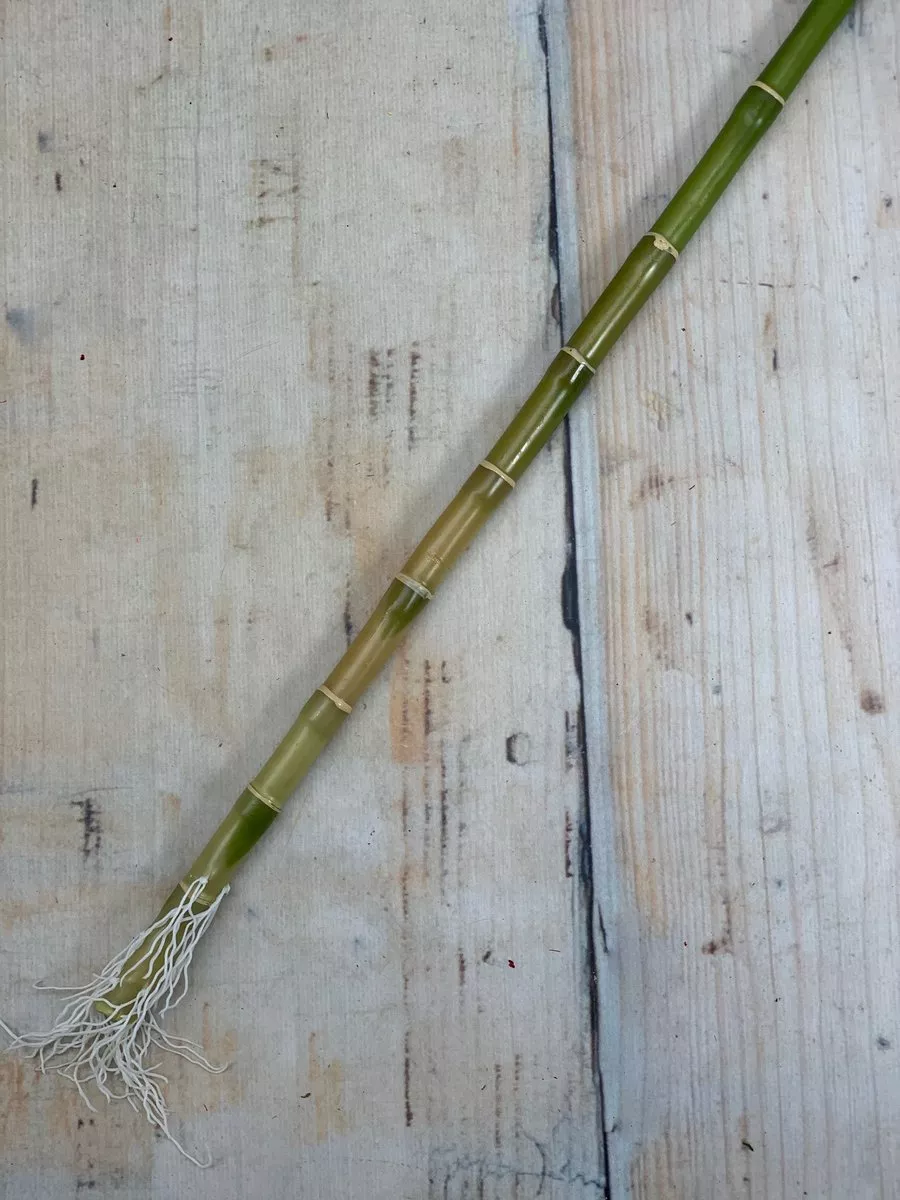 Бамбук 19259  Интернет-магазин Feron Flower 