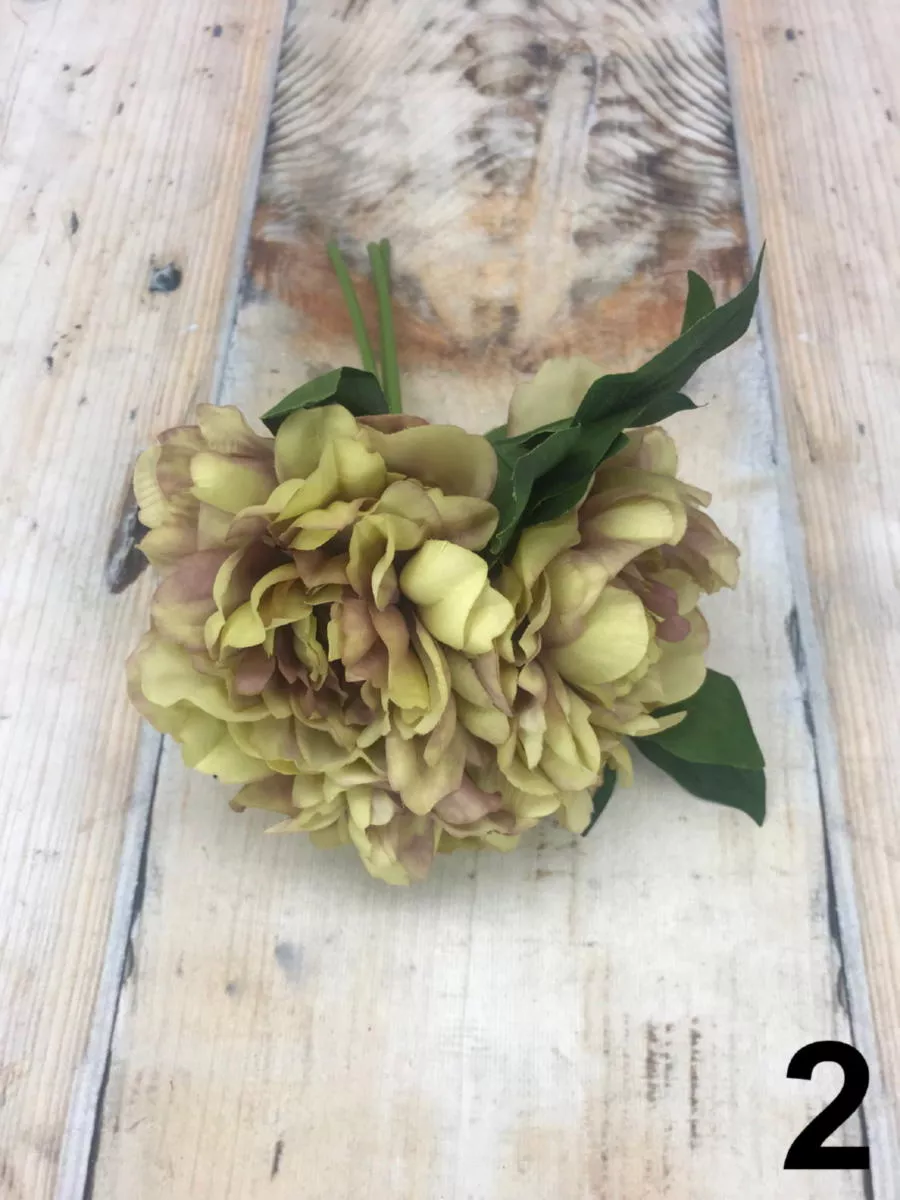 Пион букет 86CAN1-2675  Интернет-магазин Feron Flower 