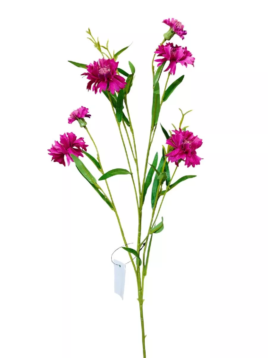 Василек SUN676  Интернет-магазин Feron Flower 