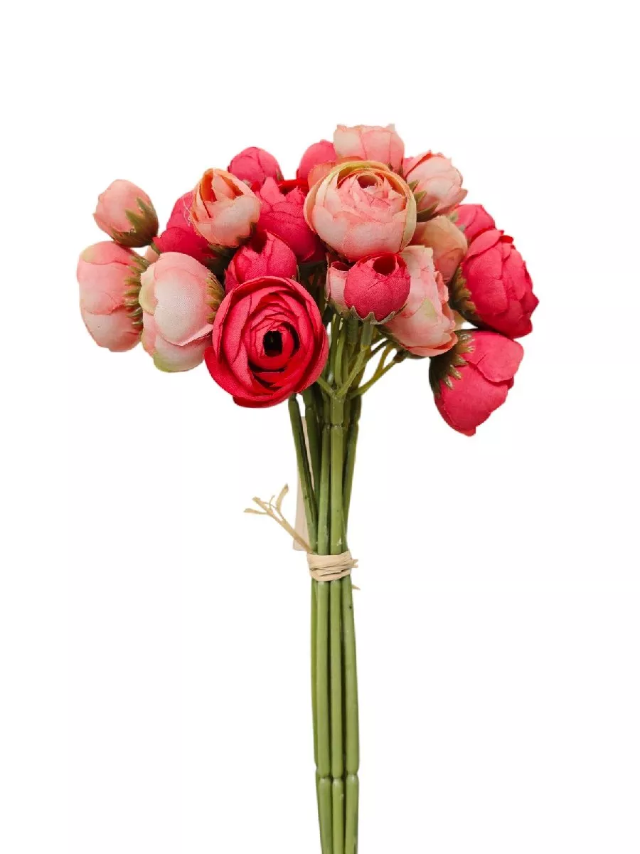 Ранункул бук TNK04  Интернет-магазин Feron Flower 