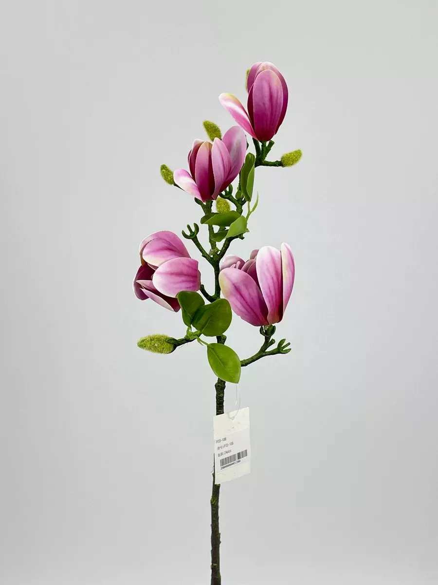Магнолия PIO-106  Интернет-магазин Feron Flower 