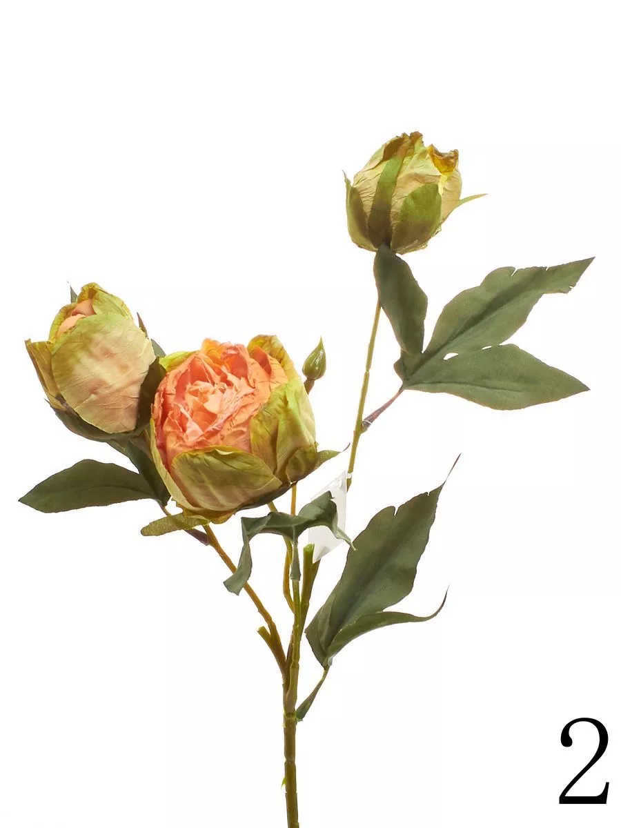 Роза K04133   Интернет-магазин Feron Flower 