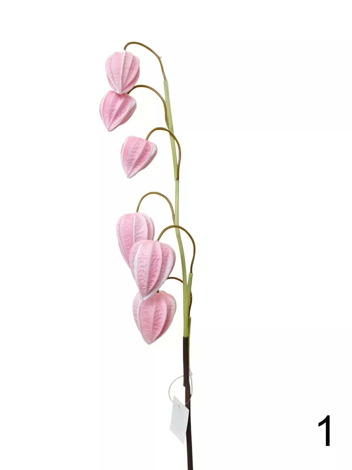 Физалис 9144-1321  Интернет-магазин Feron Flower 