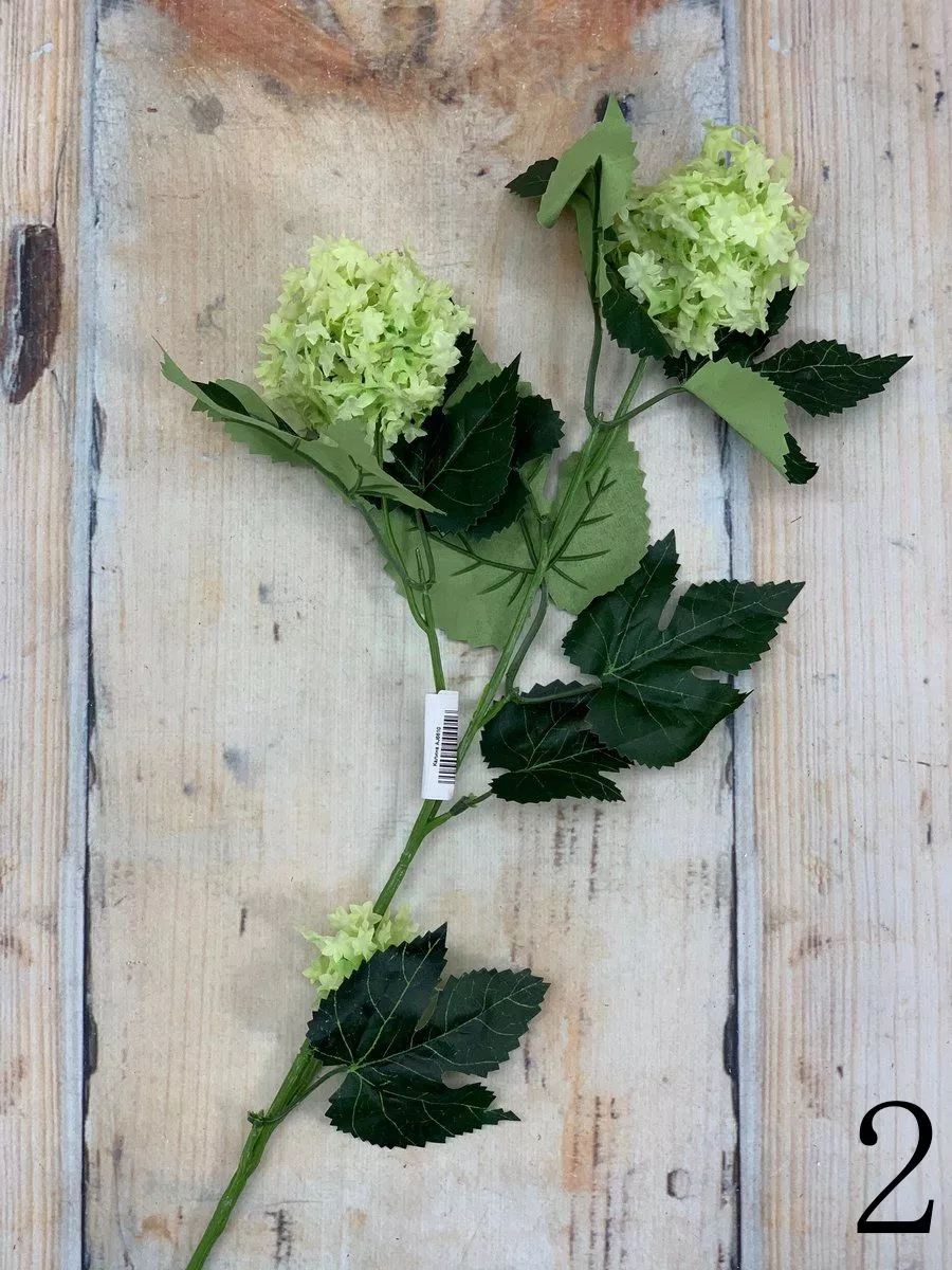 Калина AJ6610  Интернет-магазин Feron Flower 