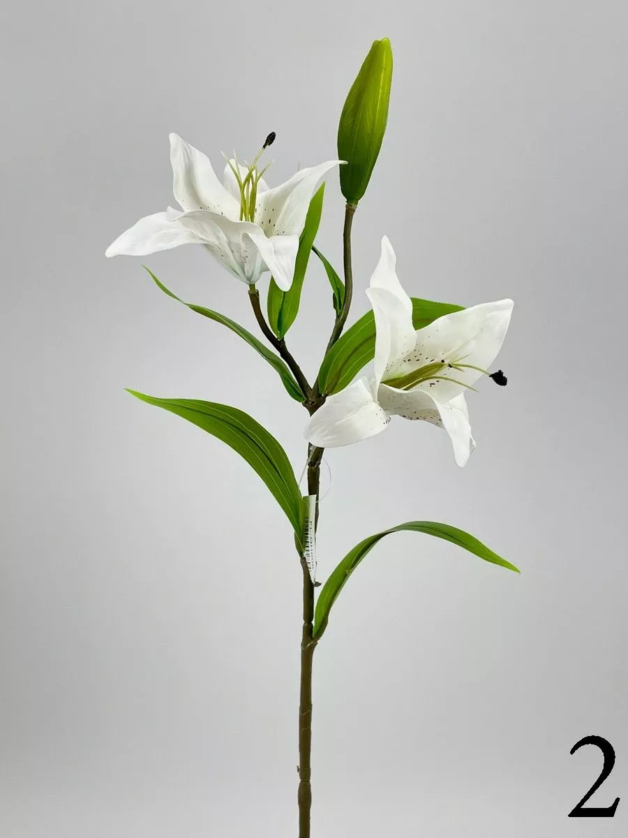 Лилия FL-QH006  Интернет-магазин Feron Flower 