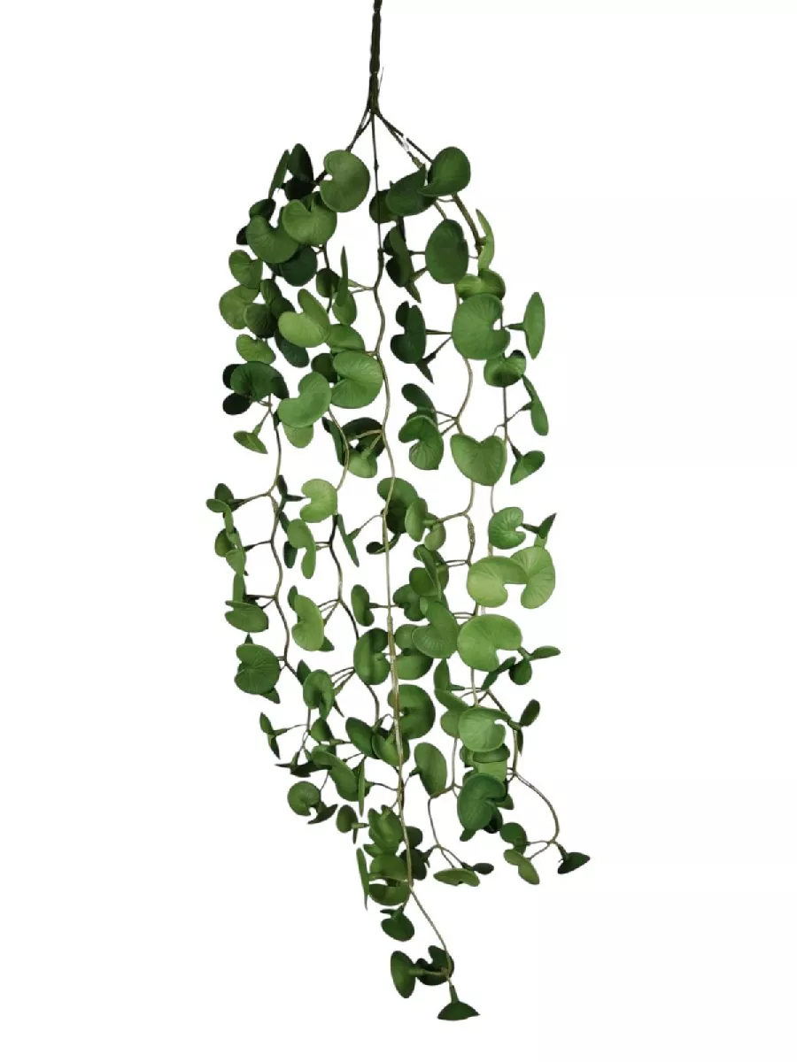 Плющ LM2008  Интернет-магазин Feron Flower 