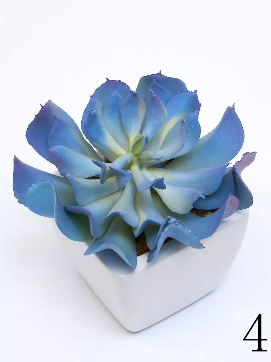 Суккулент ART17771  Интернет-магазин Feron Flower 