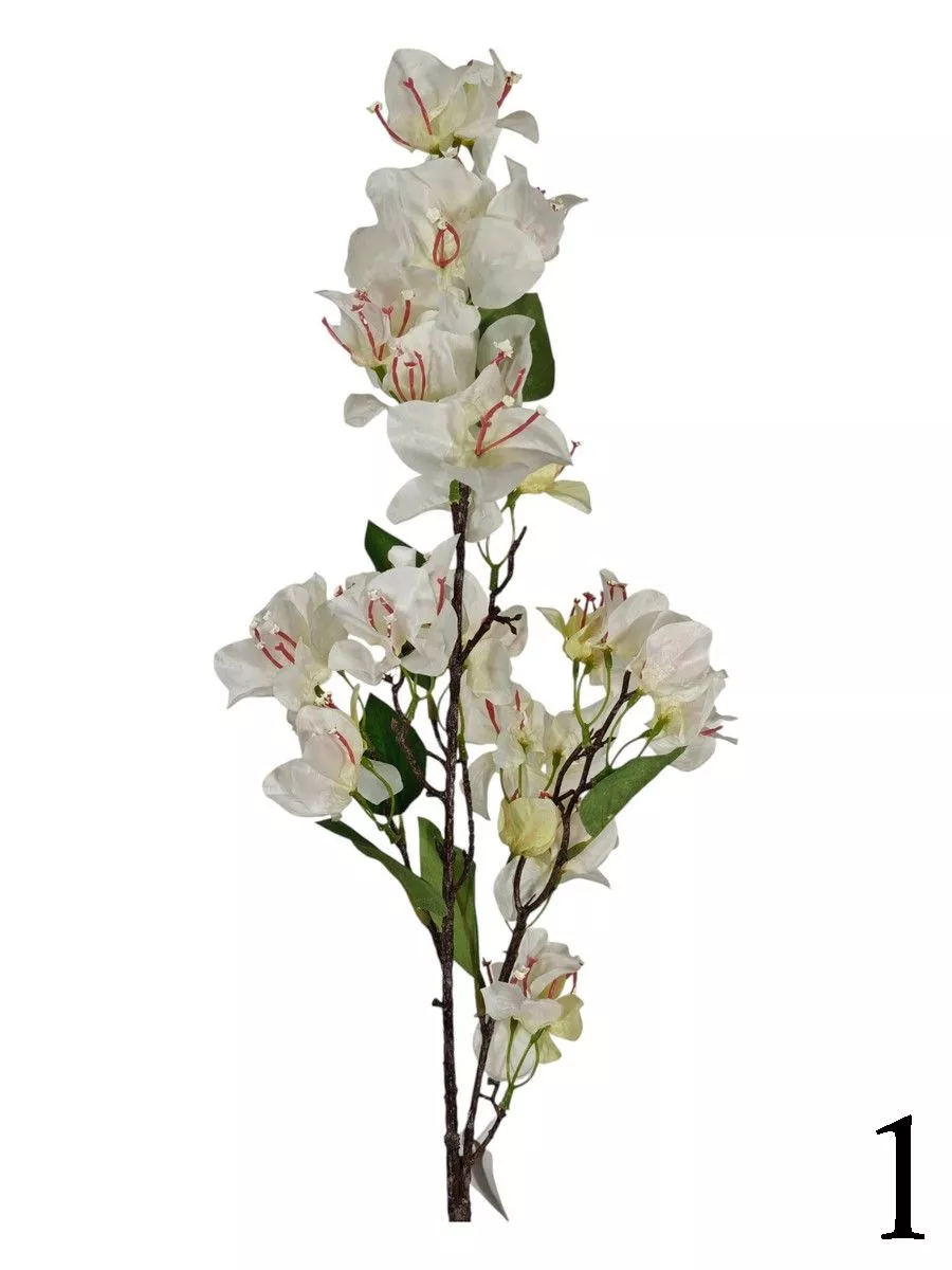 Бугенвилия FL-QH106  Интернет-магазин Feron Flower 
