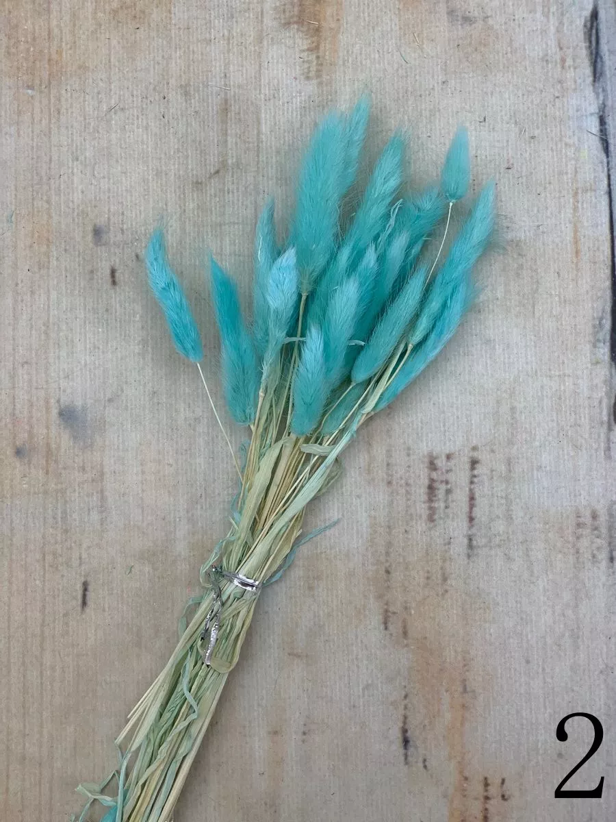 Лагурус 30 веток MIX  Интернет-магазин Feron Flower 