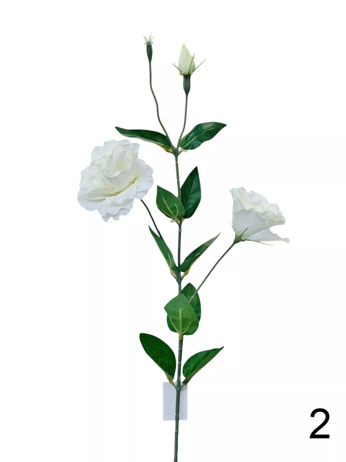 Эустома FL-QH166  Интернет-магазин Feron Flower 