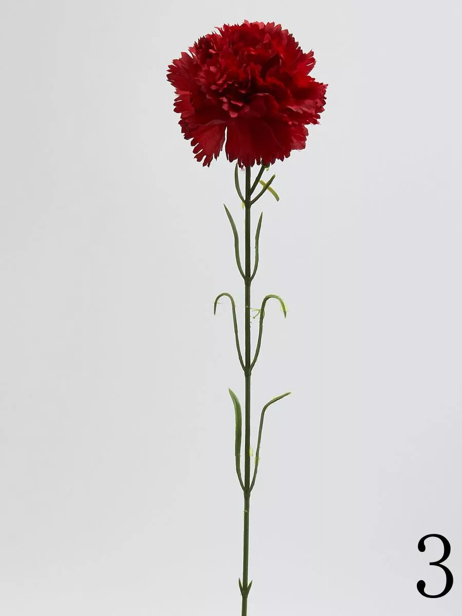 Гвоздика K396  Интернет-магазин Feron Flower 