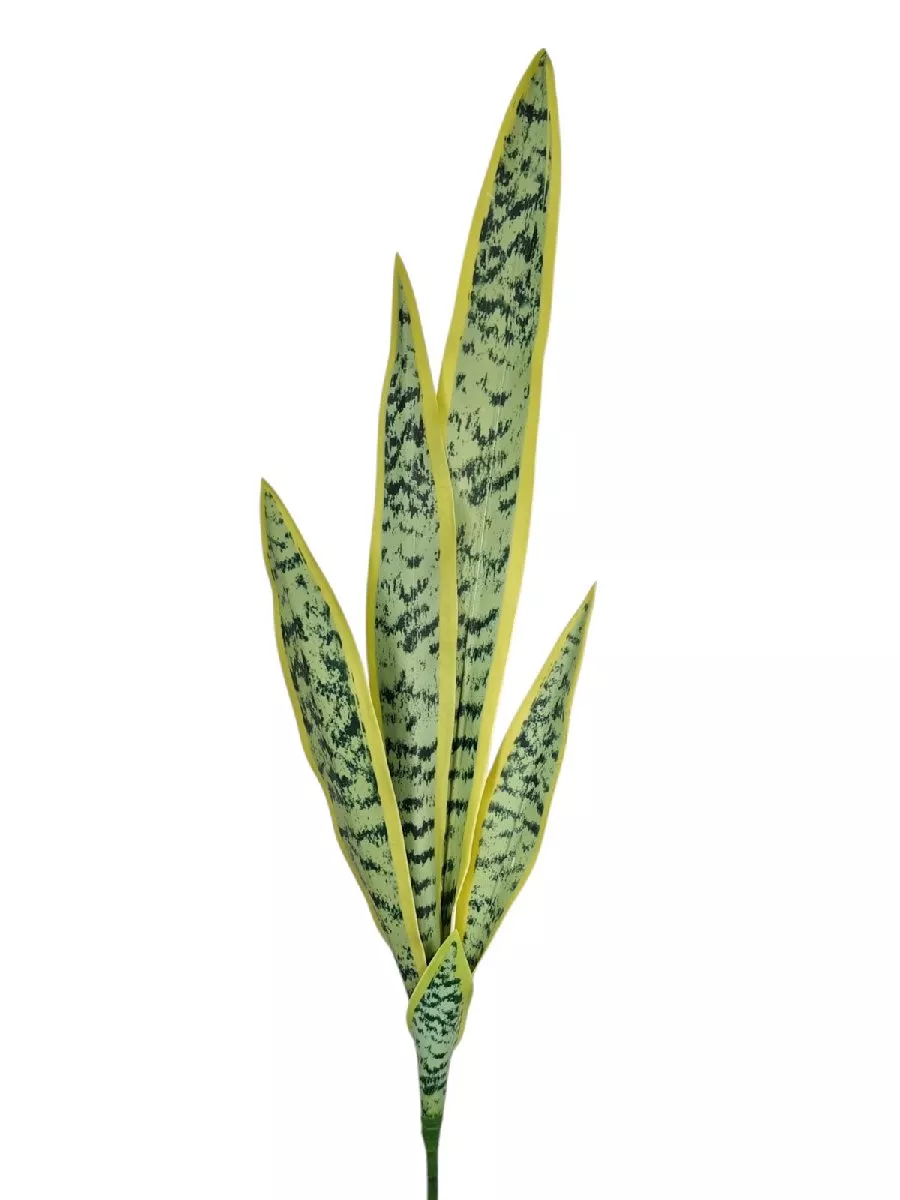 Лист HWL-002 56cm  Интернет-магазин Feron Flower 