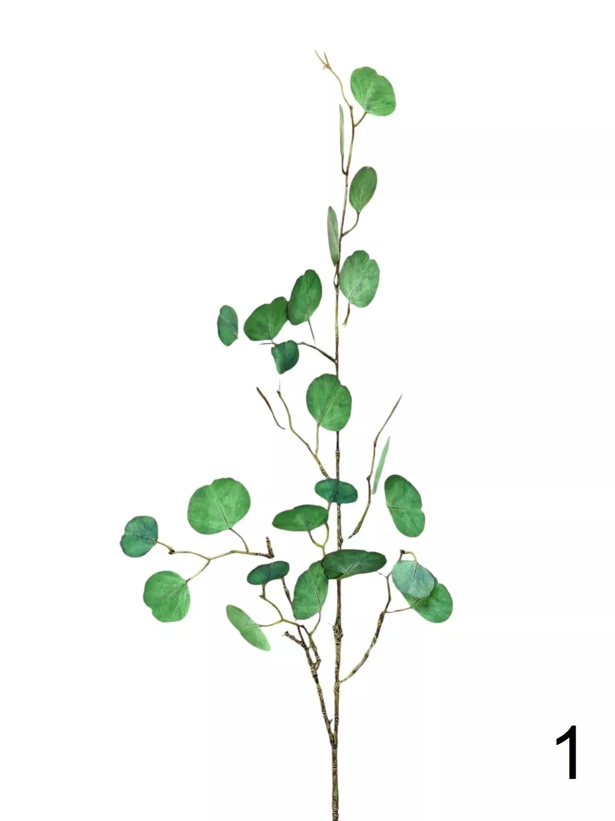 Эвкалипт FL-QH057  Интернет-магазин Feron Flower 