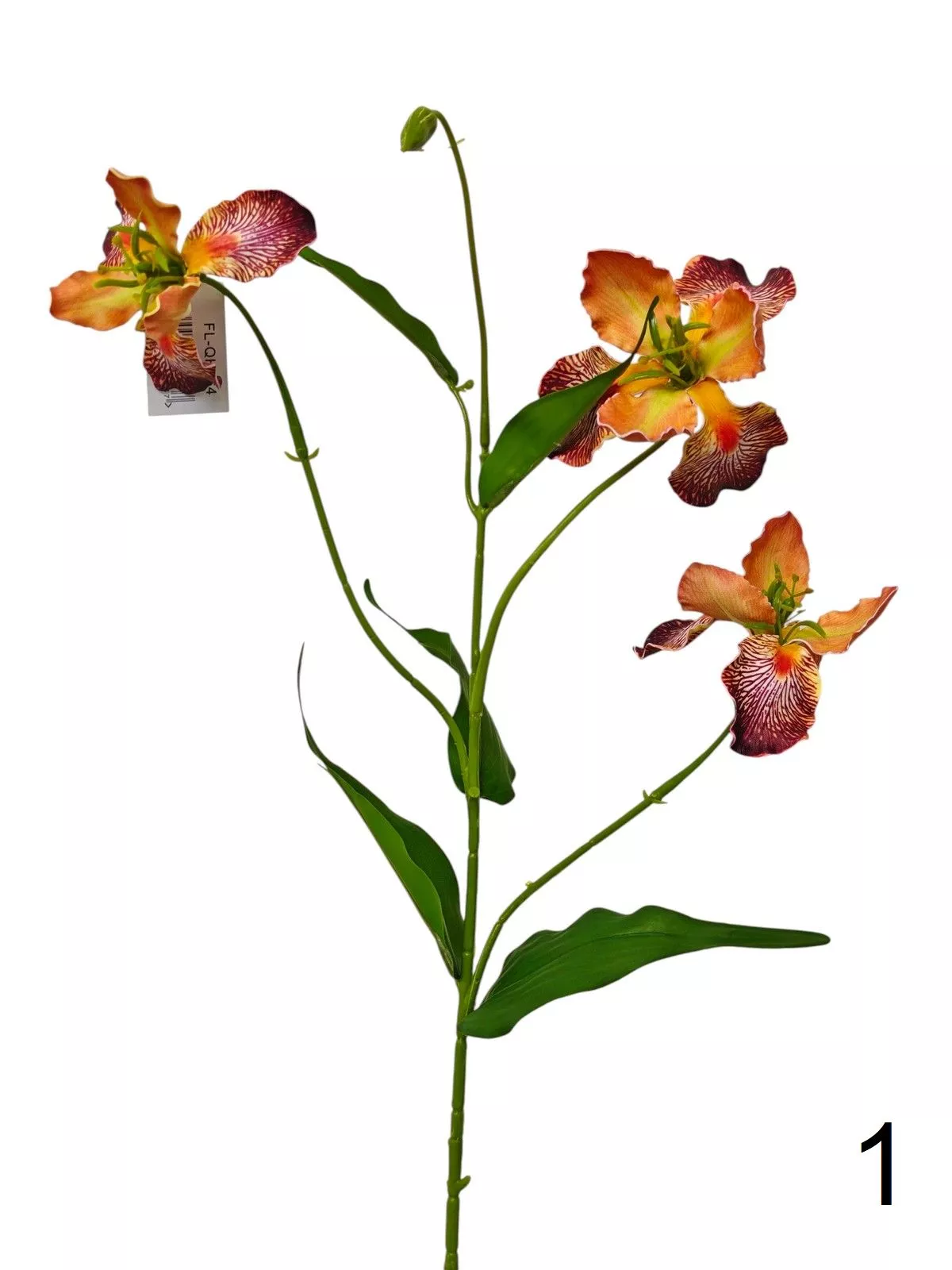 Ирис FL-QH164  Интернет-магазин Feron Flower 