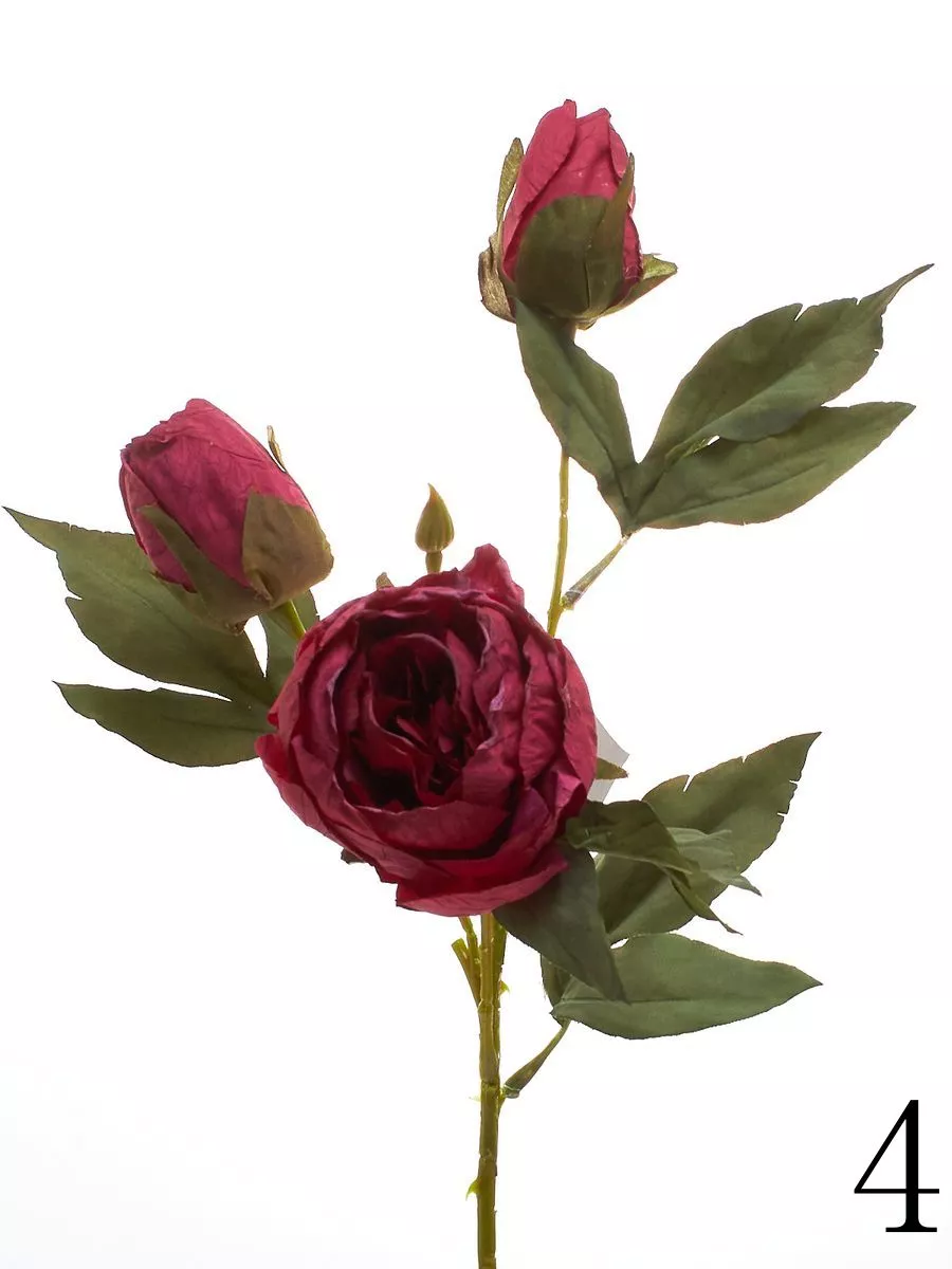 Роза K04133   Интернет-магазин Feron Flower 