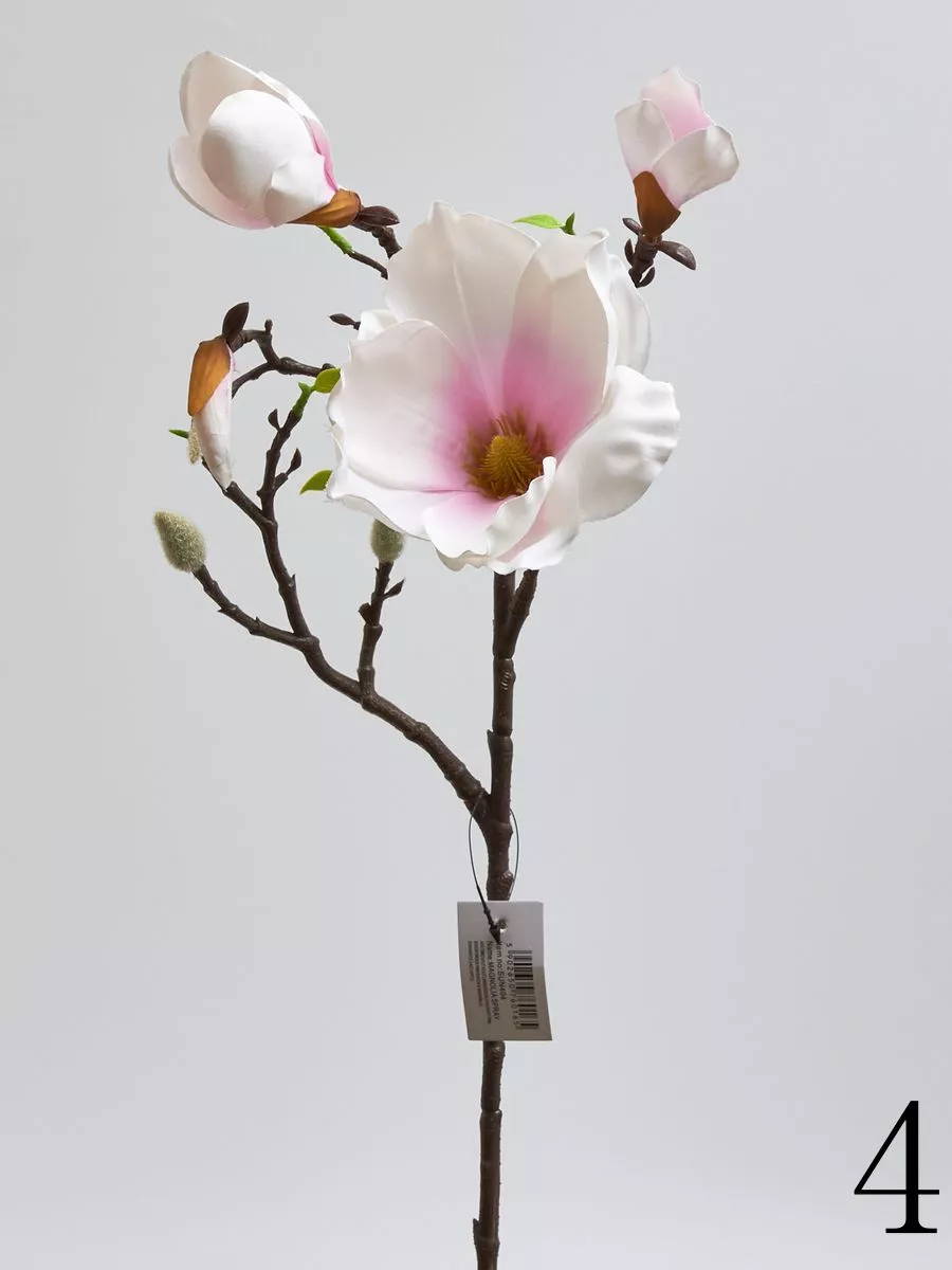 Магнолия SUN404  Интернет-магазин Feron Flower 