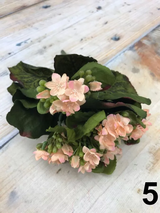 Каланхоэ 188CAN88180  Интернет-магазин Feron Flower 
