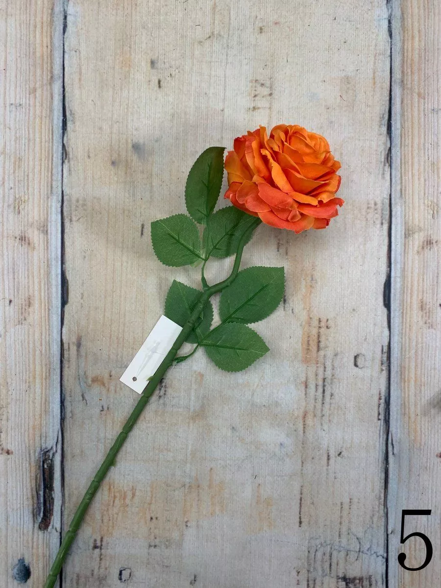 Роза 70505  Интернет-магазин Feron Flower 