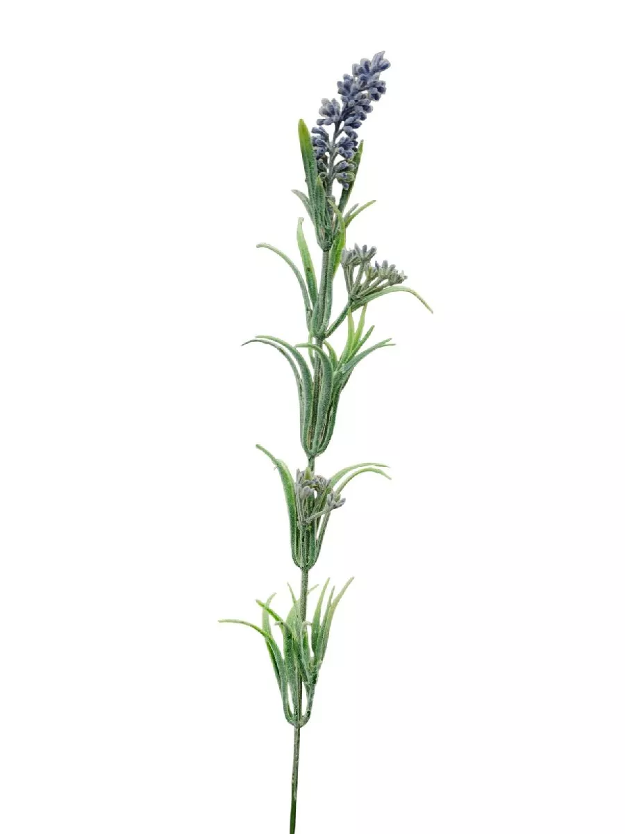 Лаванда TIK041  Интернет-магазин Feron Flower 