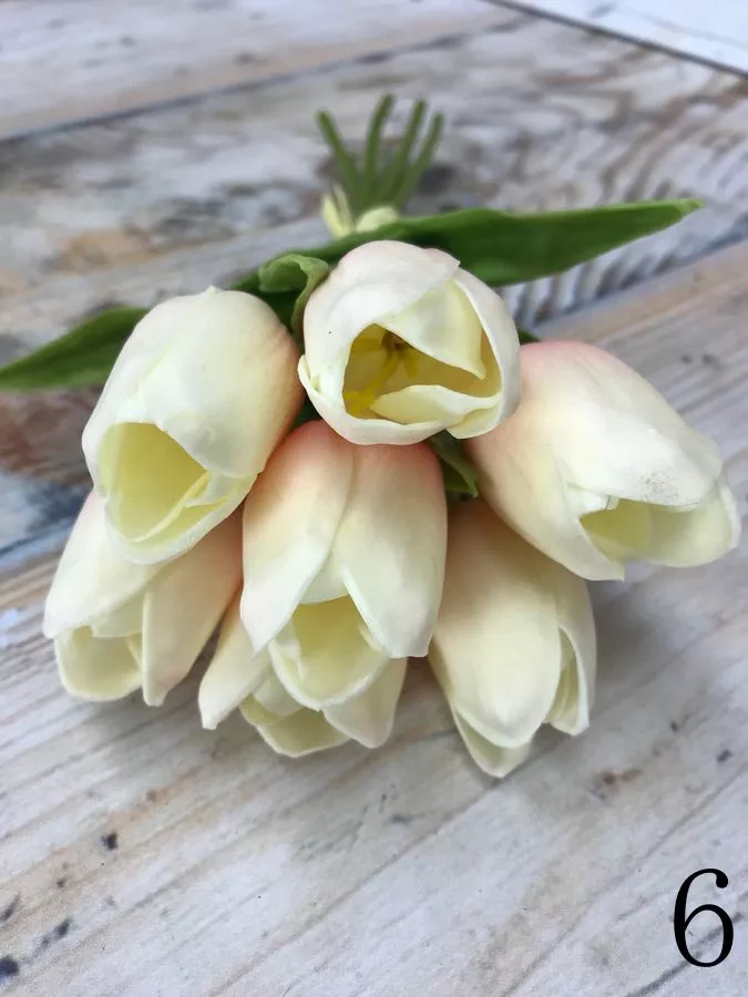 Тюльпан 81CAN056  Интернет-магазин Feron Flower 