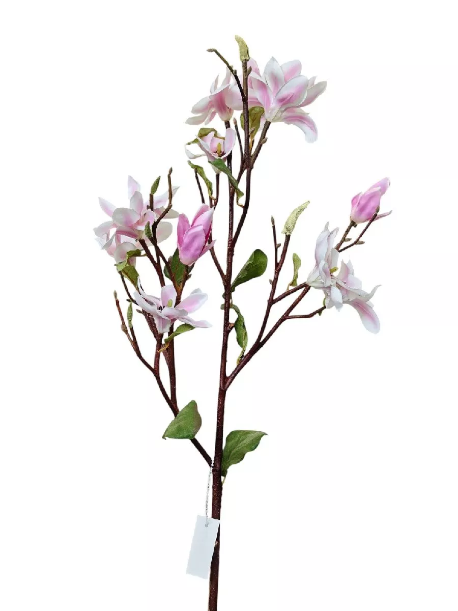 Магнолия 412106  Интернет-магазин Feron Flower 