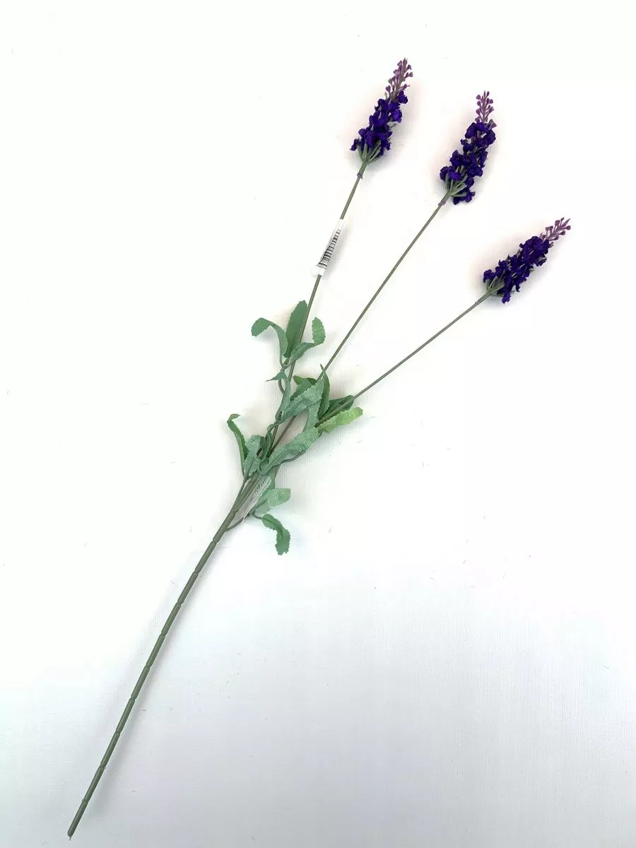 Лаванда 090586  Интернет-магазин Feron Flower 