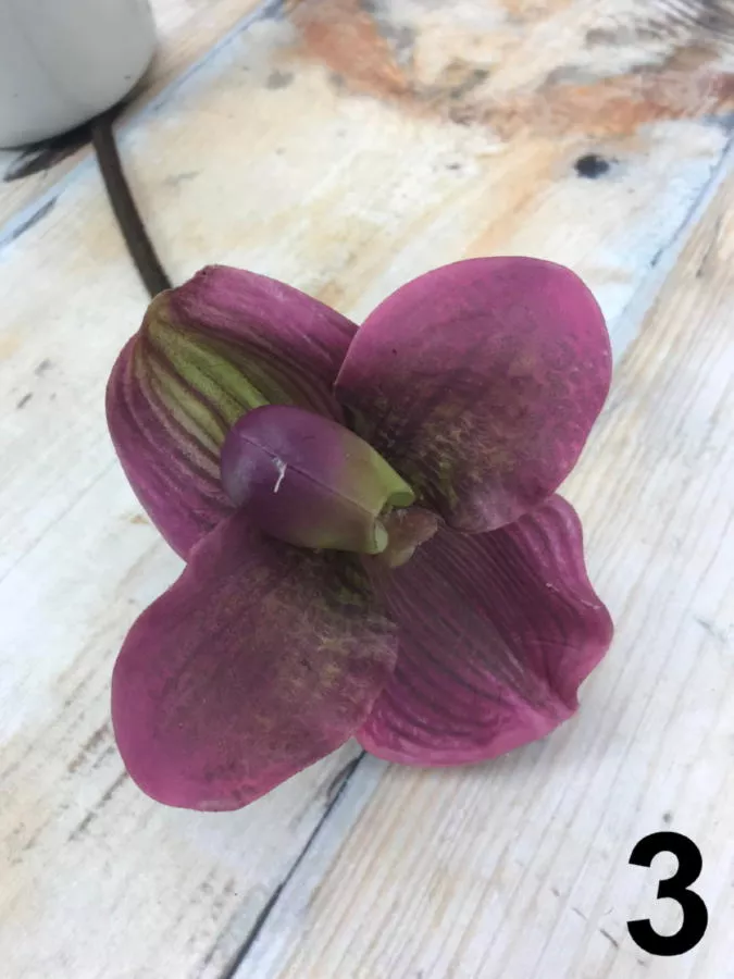 Орхидея KLM1050  Интернет-магазин Feron Flower 