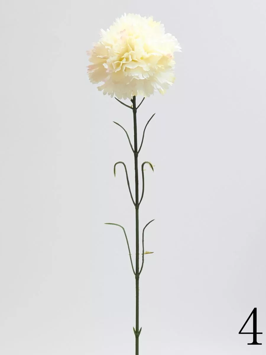 Гвоздика K396  Интернет-магазин Feron Flower 
