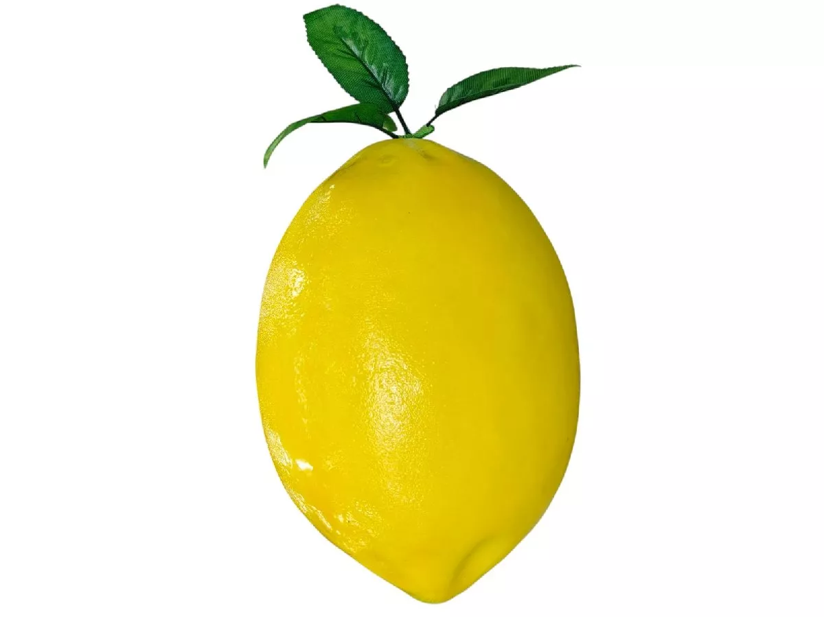 Лимон 0183-1305  Интернет-магазин Feron Flower 