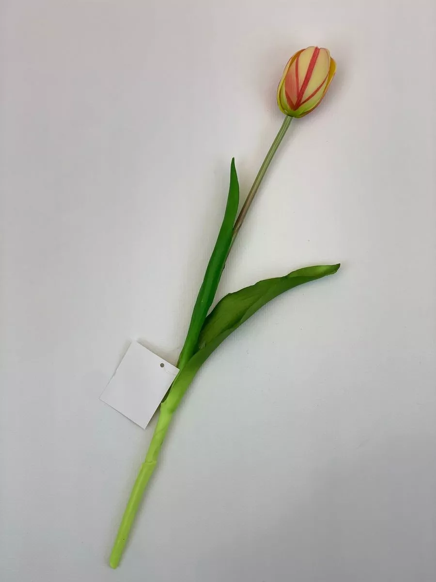 Тюльпан K04193  Интернет-магазин Feron Flower 