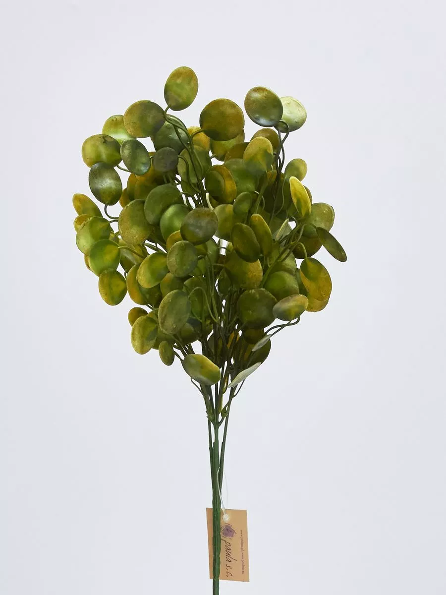 Букет зелени EVE1848  Интернет-магазин Feron Flower 