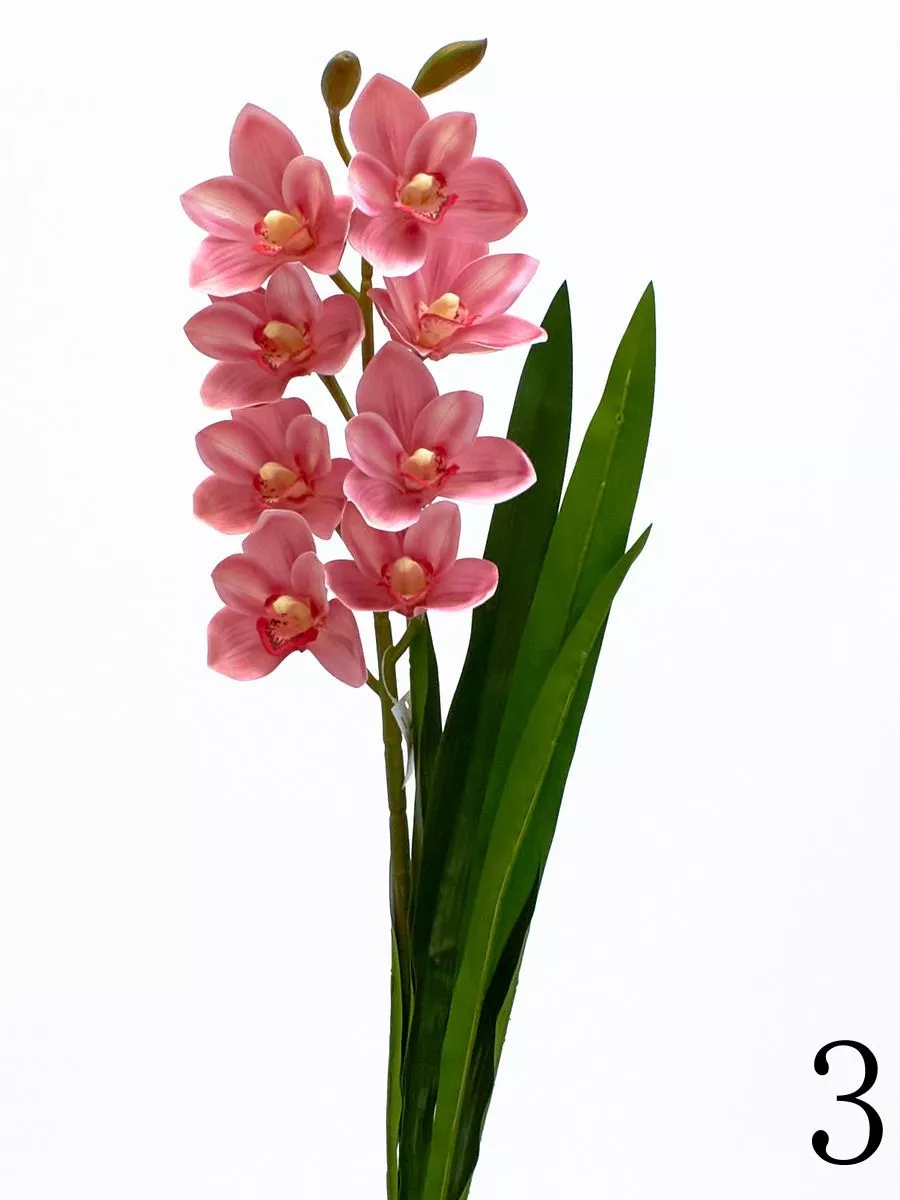 Орхидея K03977  Интернет-магазин Feron Flower 