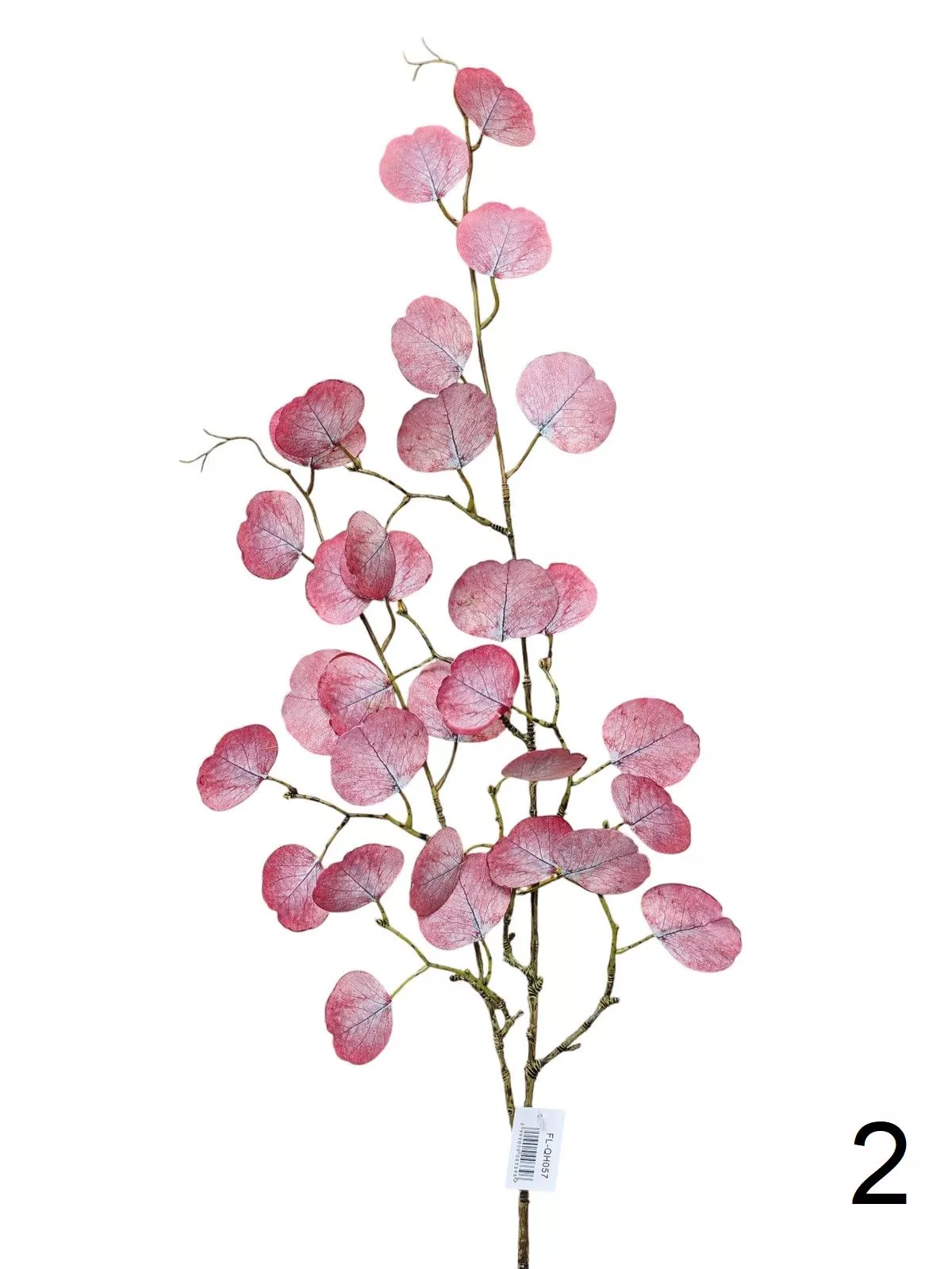 Эвкалипт FL-QH057  Интернет-магазин Feron Flower 
