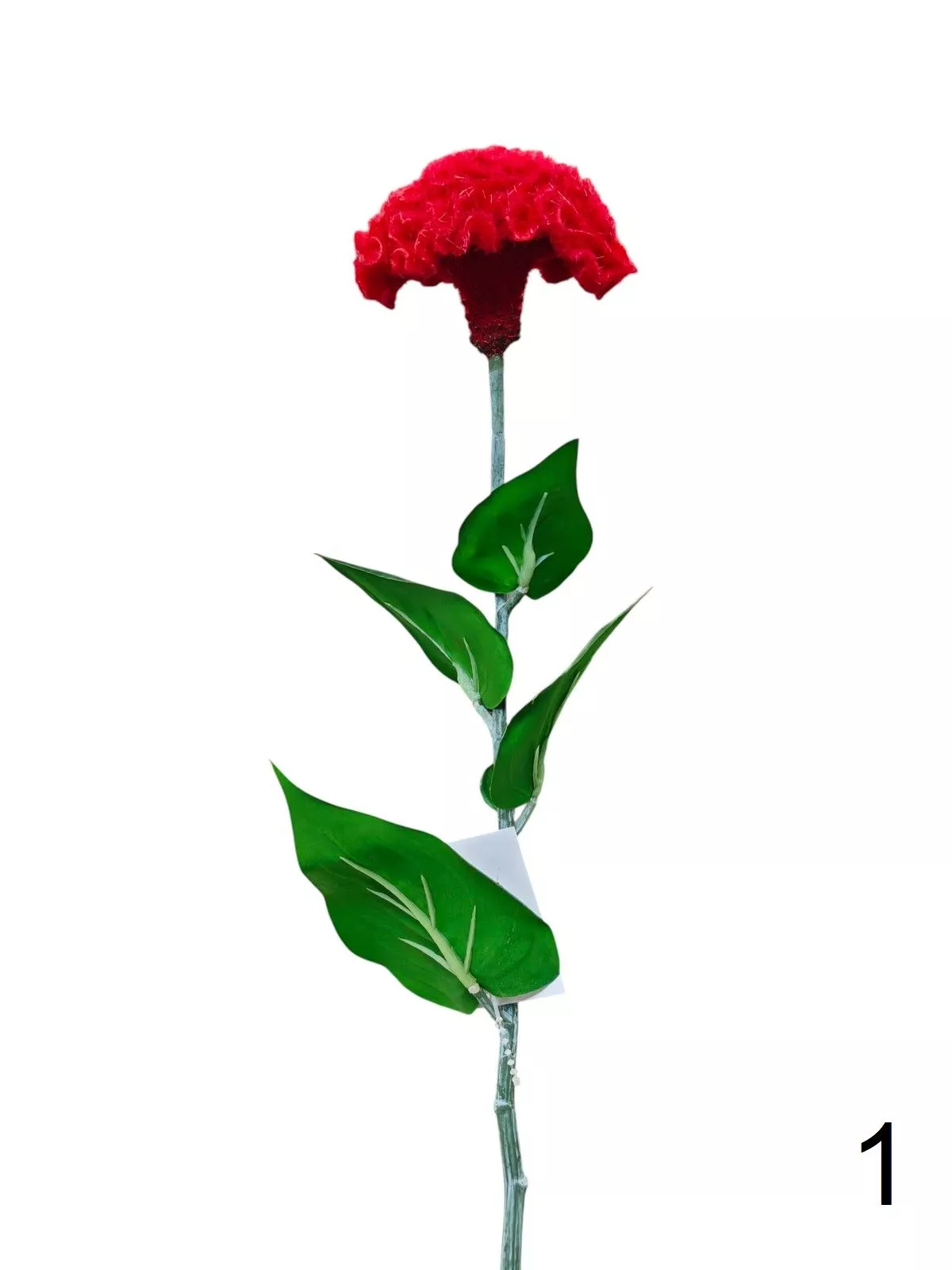 Целозия K03956  Интернет-магазин Feron Flower 