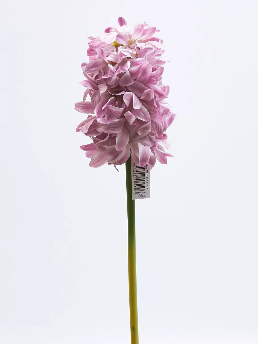 Гиацинт 1114607  Интернет-магазин Feron Flower 
