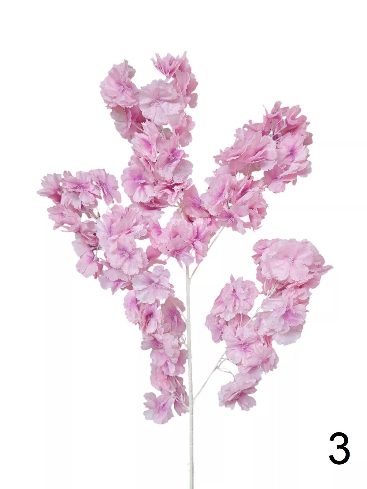 Яблонь 132219  Интернет-магазин Feron Flower 